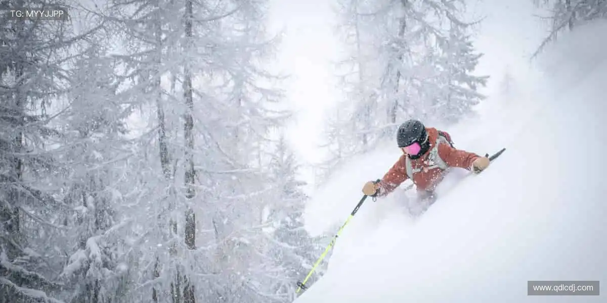 球迷专属，限量发售！🎁